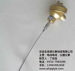 耐磨鎧裝熱電偶價(jià)格解析與安徽全球通在線咨詢指南